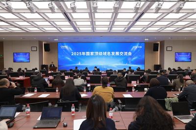 纳网科技应邀出席2025国家顶级域名发展交流会，共绘北京网络技术服务新蓝图