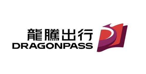 北京龙腾出行网络科技 引领首都网络技术服务新篇章